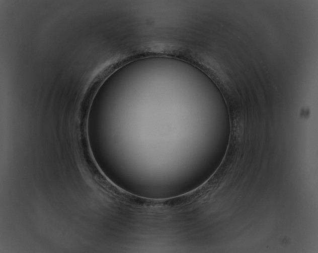 X0000091360587200708311506