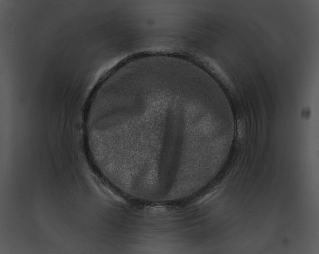 X0000091360588200708311506