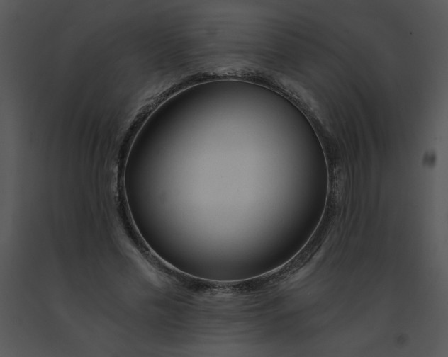 X0000091360589200708311506