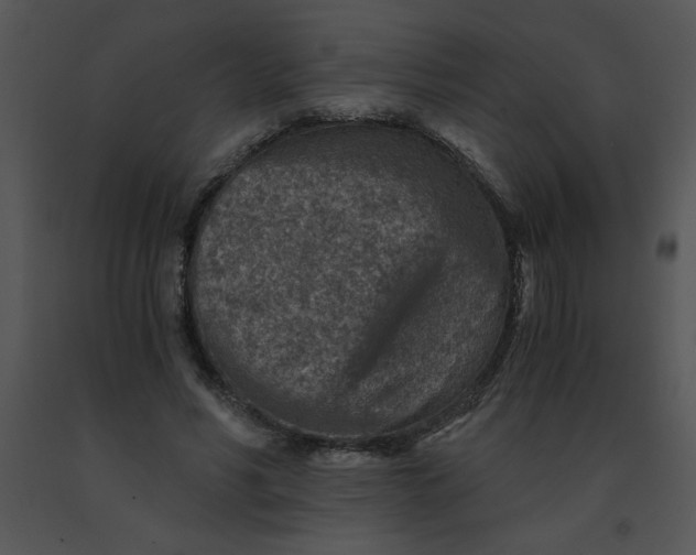 X0000091360590200708311506