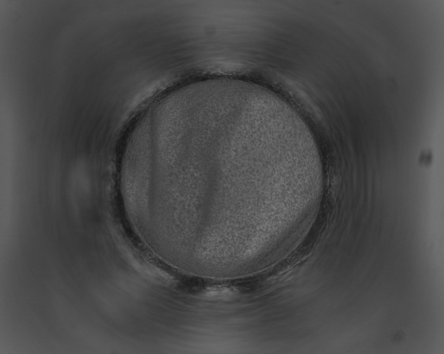 X0000091360591200708311506