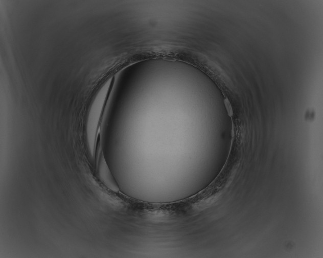 X0000091360593200708311506