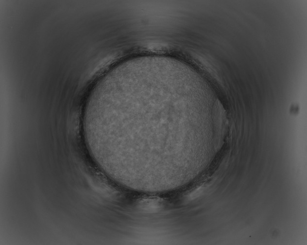 X0000091360595200708311506