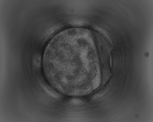 X0000091360596200708311506