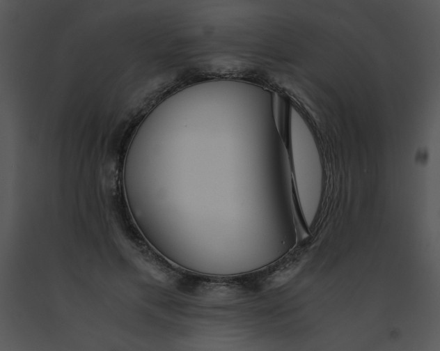 X0000091360597200708311506