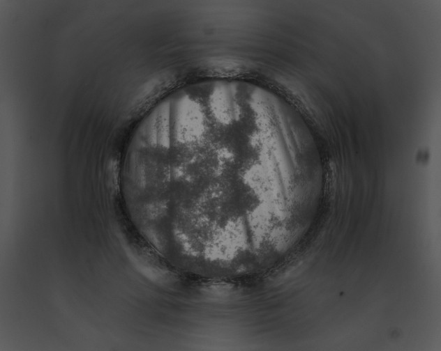 X0000091360598200708311506