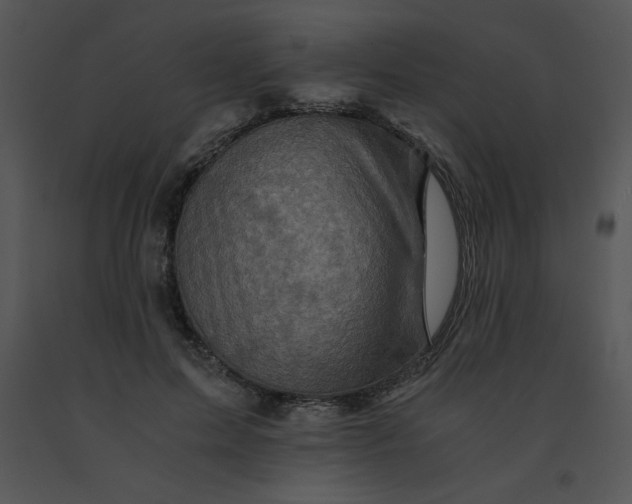 X0000091360599200708311506