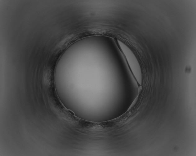 X0000091360600200708311506