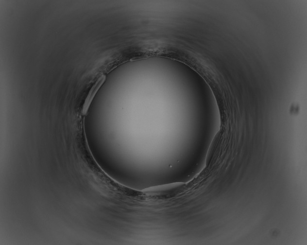 X0000091360601200708311506