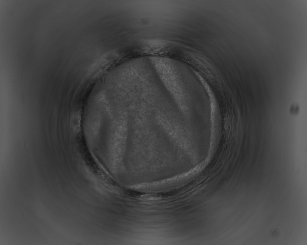 X0000091360602200708311506