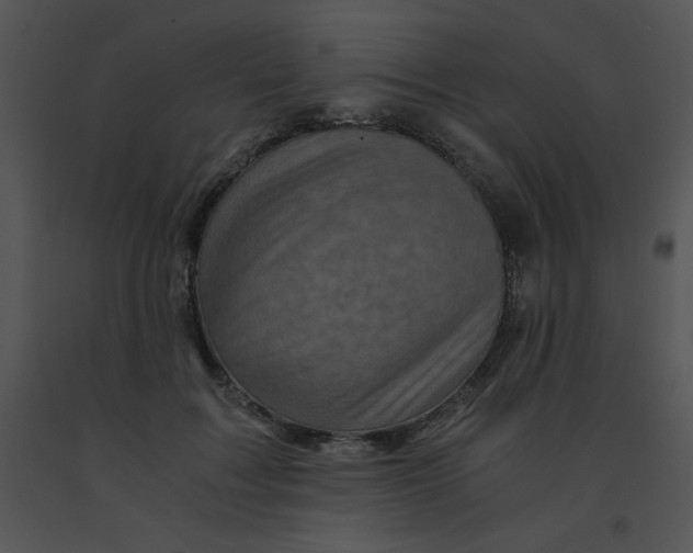X0000091360603200708311506