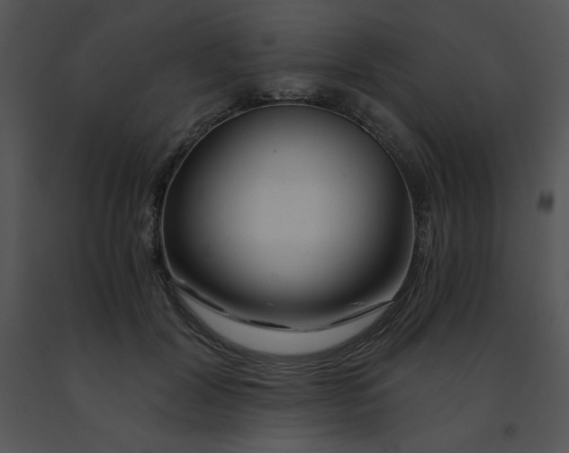 X0000091360604200708311506