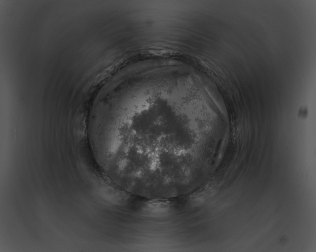 X0000091360606200708311506