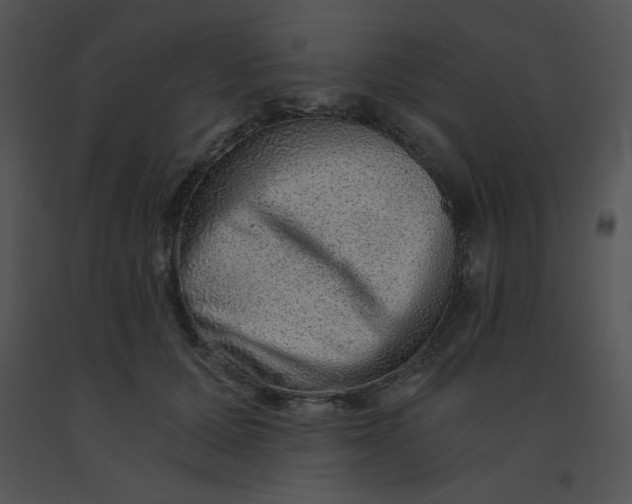 X0000091360607200708311506