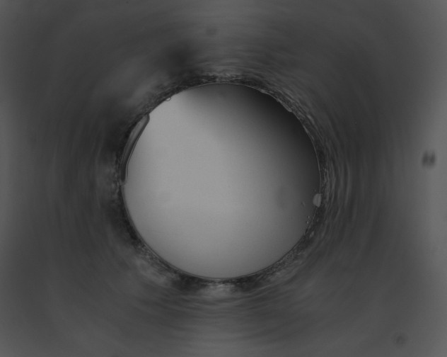 X0000091360609200708311506