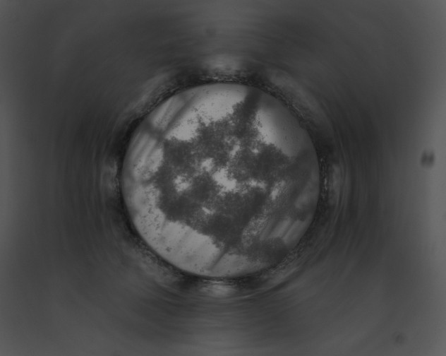X0000091360610200708311506