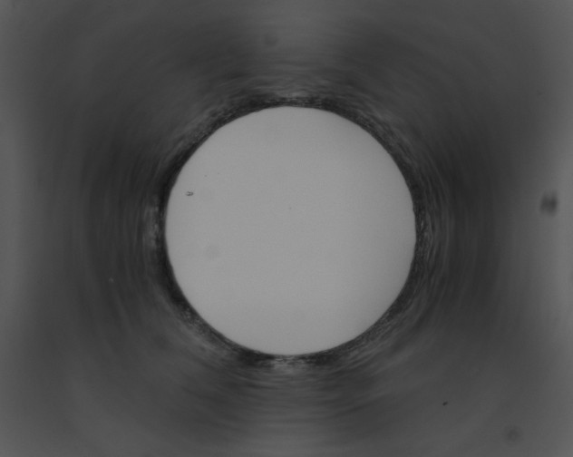 X0000091360612200708311506