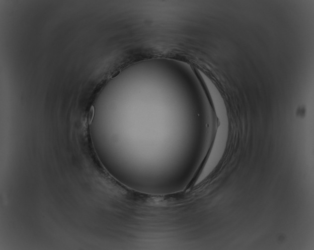 X0000091360613200708311506
