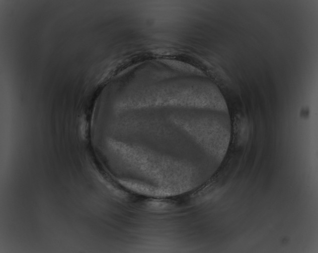 X0000091360614200708311506
