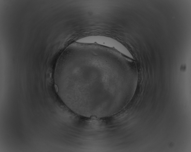 X0000091360615200708311506