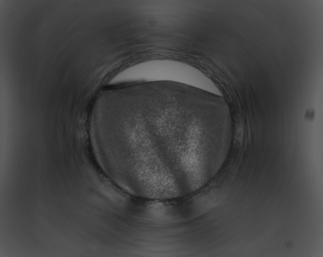 X0000091360616200708311506