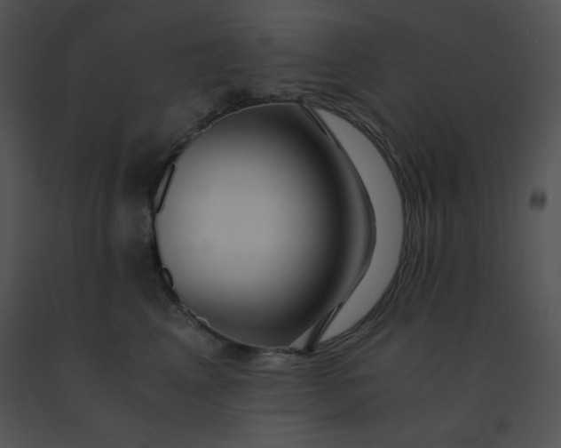 X0000091360617200708311506