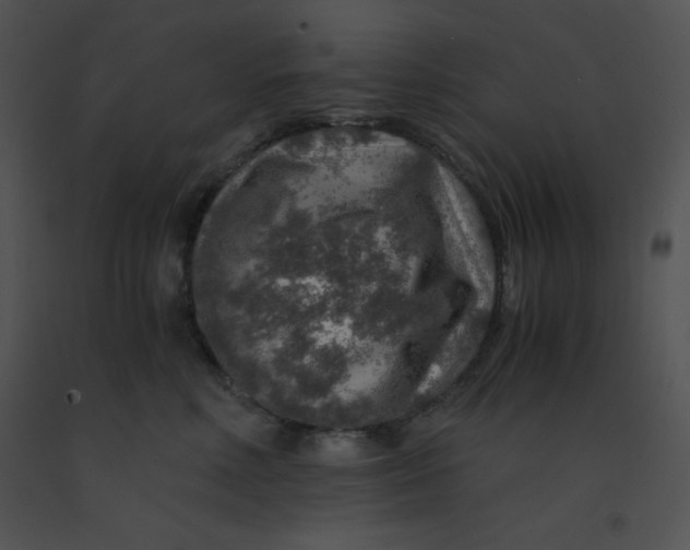 X0000091360618200708311506