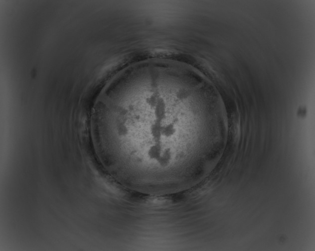 X0000091360619200708311506