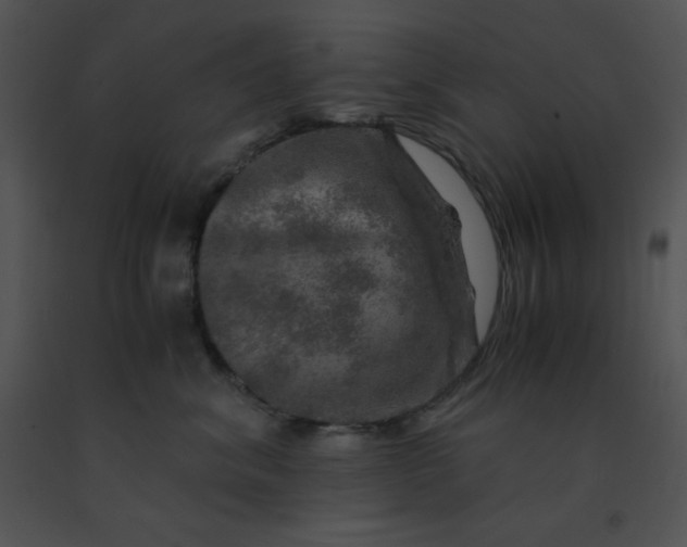 X0000091360620200708311506