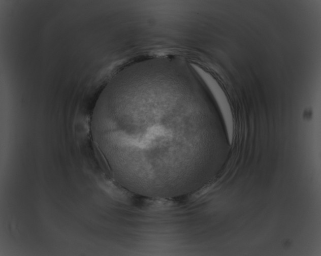 X0000091360621200708311506