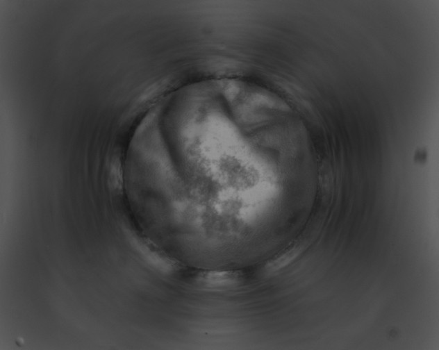 X0000091360622200708311506