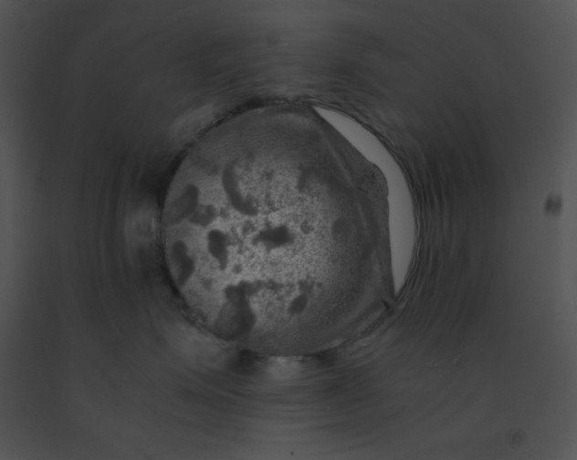 X0000091360623200708311506