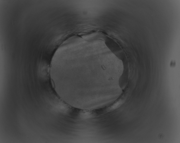 X0000091360624200708311506