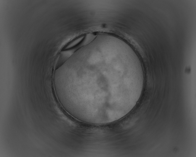 X0000091360625200708311505