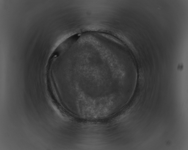 X0000091360626200708311505