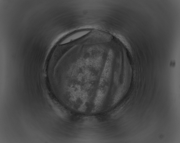 X0000091360628200708311505