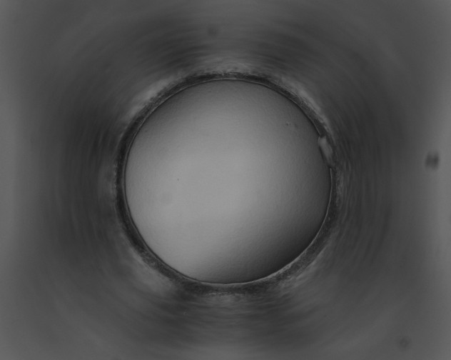X0000091360629200708311505