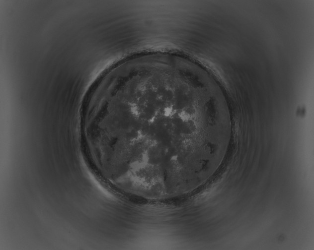 X0000091360630200708311505
