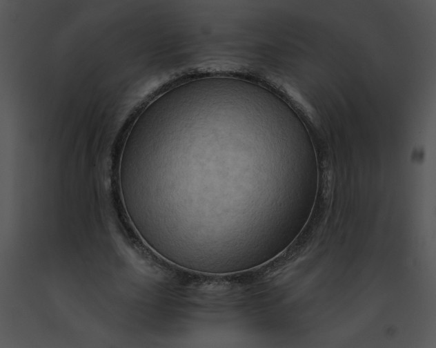 X0000091360631200708311505