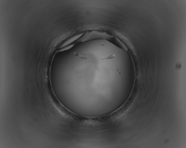 X0000091360633200708311505