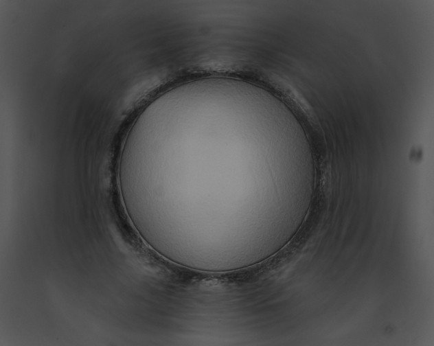 X0000091360635200708311505