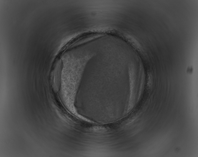 X0000091360636200708311505