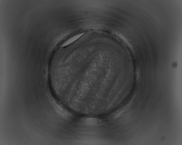 X0000091360637200708311505