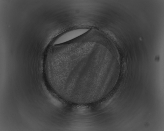 X0000091360638200708311505