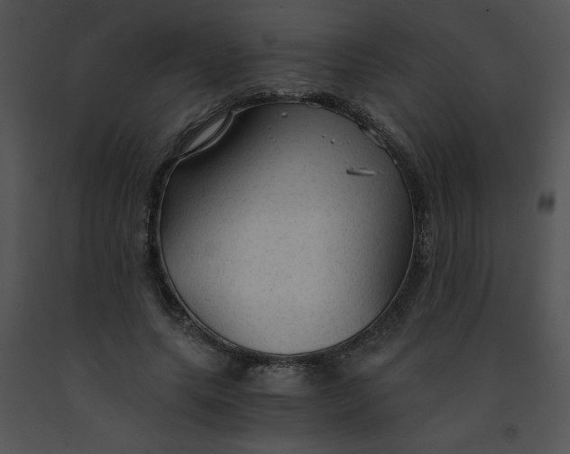 X0000091360639200708311505