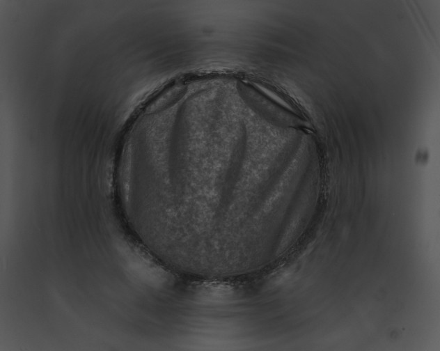 X0000091360640200708311505