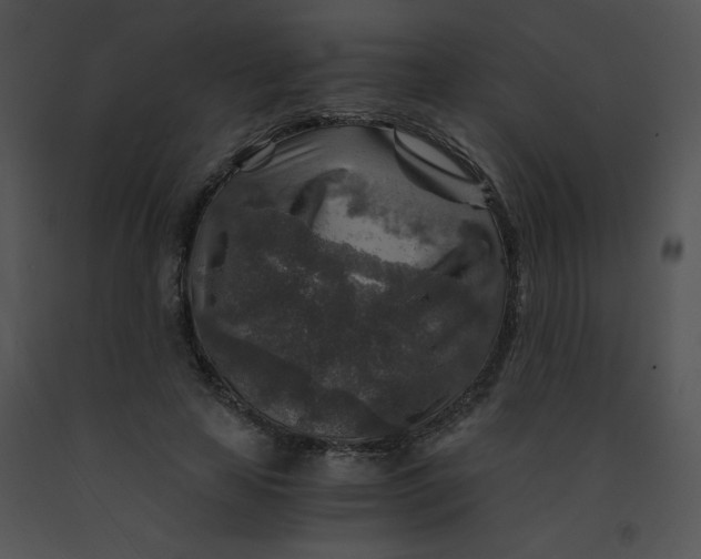 X0000091360641200708311505