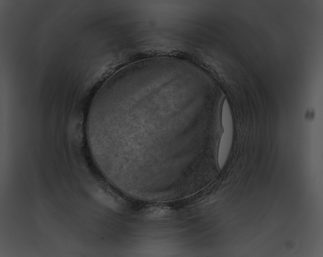 X0000091360642200708311505