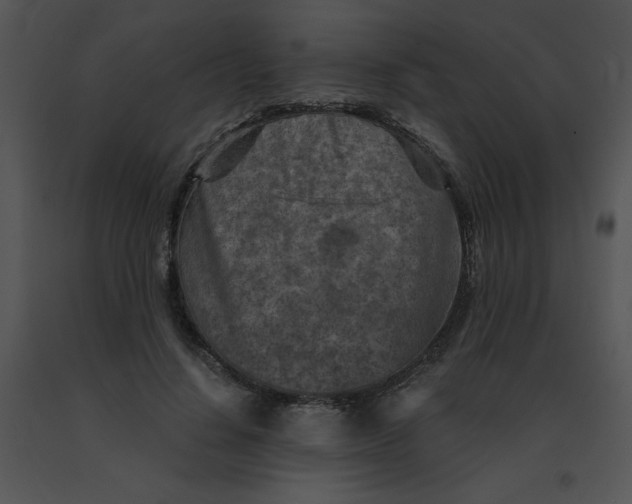 X0000091360644200708311505