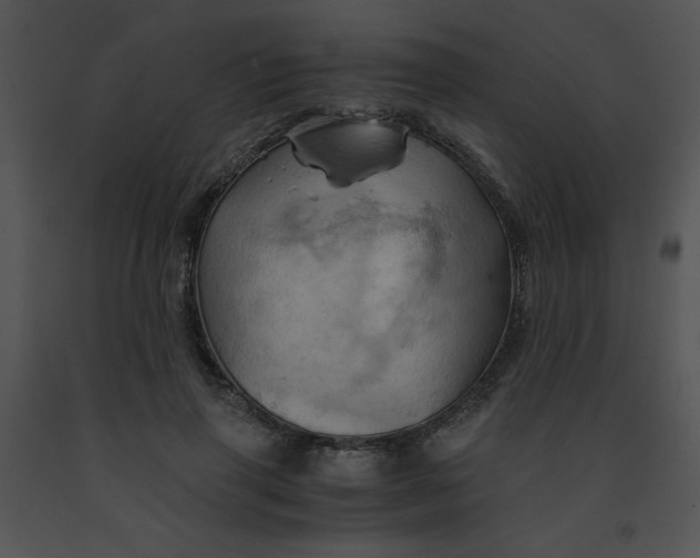 X0000091360645200708311505